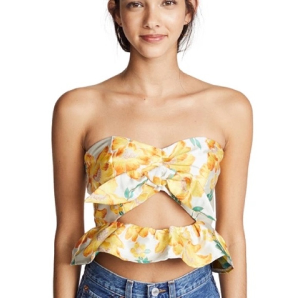 Endless Rose Brocade Corset Top